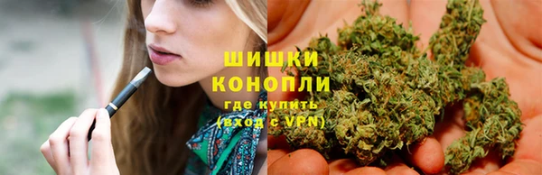 стафф Бронницы