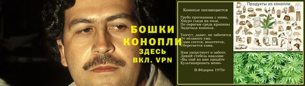 стафф Бронницы