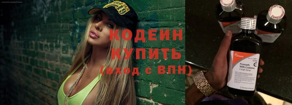 МДПВ Бородино