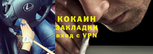 МДПВ Бородино
