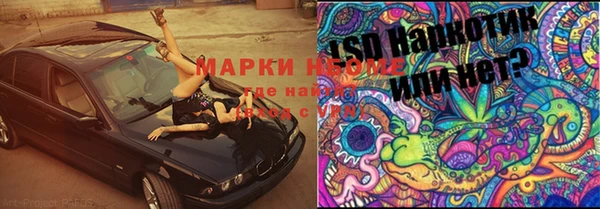 МДПВ Бородино