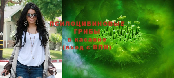МДПВ Бородино