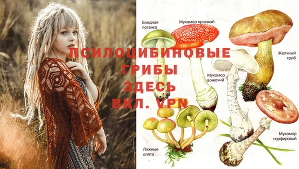 стафф Бронницы