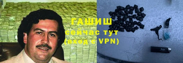 МДПВ Бородино